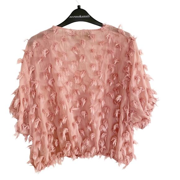 Spoon Jeans Dusty Pink Fringe Embellished Chiffon V Neck Blouse 2X NWT - Picture 3 of 9